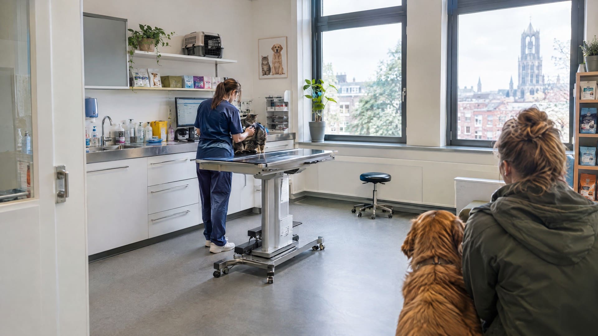 Een dierenarts onderzoekt een kat op een behandeltafel in een lichte spreekkamer, terwijl een hond met zijn eigenaar wacht bij het raam met uitzicht over de stad.